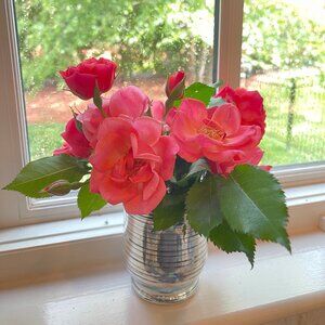 Meet your Posher, Jan